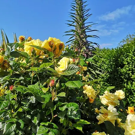 Bed and breakfast Dans Maison Fleurie Et Calme